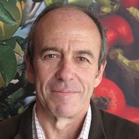 Pepe Soler