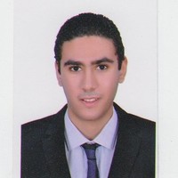 Mohamed Essam Mohamed