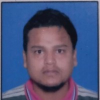 Niladri Bhowmik