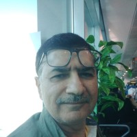 محمد محمود