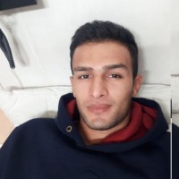 mojtaba h