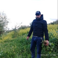 Hicham Zouied