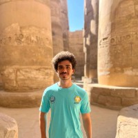 Ahmed Alaa Eldin