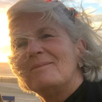 Laurence Vivant