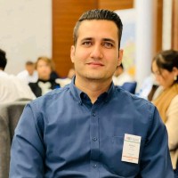 Mohsen Hamedi