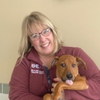 Amy Fifield