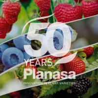 Lope de Hoces Iñiguez