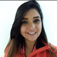Priscila De Almeida Alves