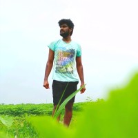 Harsha Peddireddy