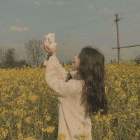 沈某某