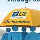 Lic Life Insurance