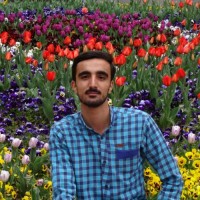 Mohammadsajjad Hafizi