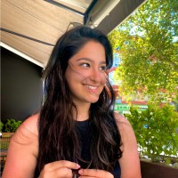 Melek Dilek Erdem