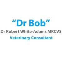 Dr Robert White-Adams MRCVS