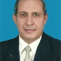 Mohsin Metwaly