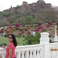 Gayathry K