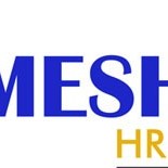 MESHLINKS CONSULTING