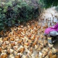 刘广南