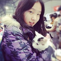 Ning Cheng