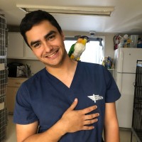 Drake Martinez