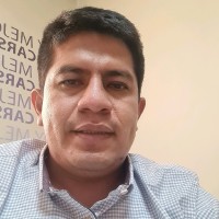 Walter Javier Dominguez Castillo