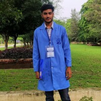 Mr Saif