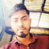 Developer Arif