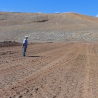 André Luiz Hebmuller