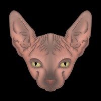Glorious Sphynx Kittens