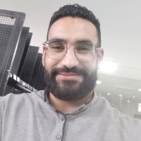 Mohamed Soliman Holial