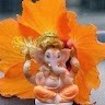 Rajashree Petave