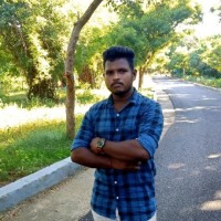 Vignesh N