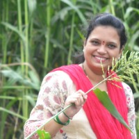 deepali p