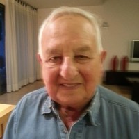 david shalit