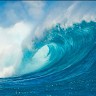 Ocean Trade