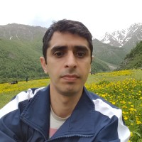 Mehdi Gholami