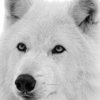 CJC Show Room em Ar Condicionado