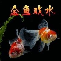 黎小勇