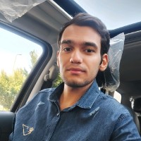 Parsa Alavi