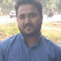 Kaushik P