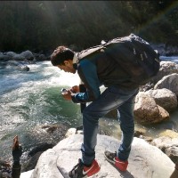 Yash Bindal