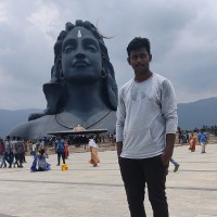 Vignesh P