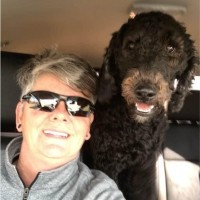 Teresa Stout