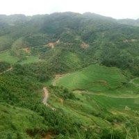 姚平仙