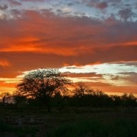 Juan de Dios Garcia de la Huerta Cornu