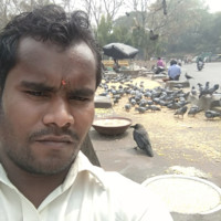 Rajesh Kumar