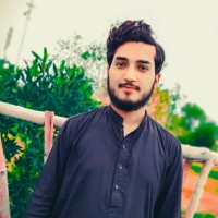 Ali Hamza