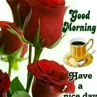 Ravi M