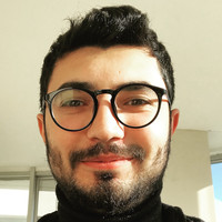 Şevket Şen
