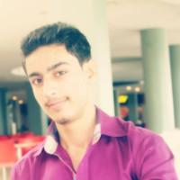 Muhammad Owais